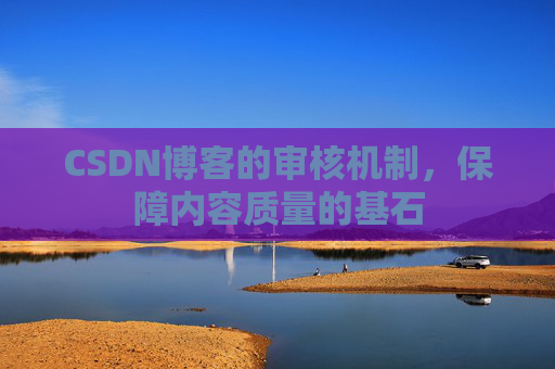 CSDN博客的审核机制,保障内容质量的基石